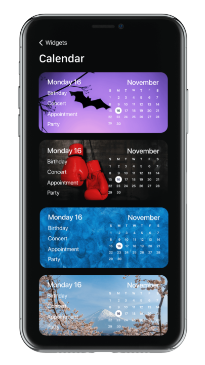 Calendar widgets from Color Widgets app.